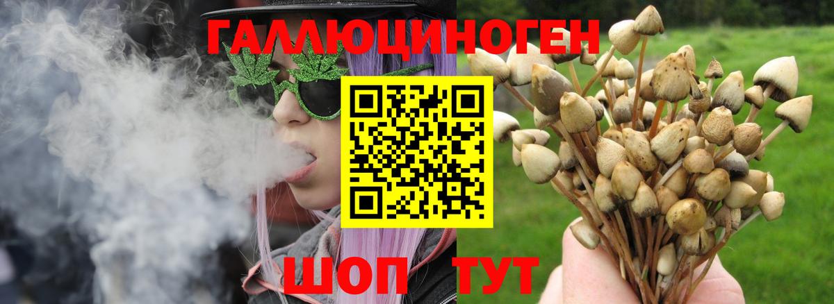 Псилоцибиновые грибы Cubensis Мариинск